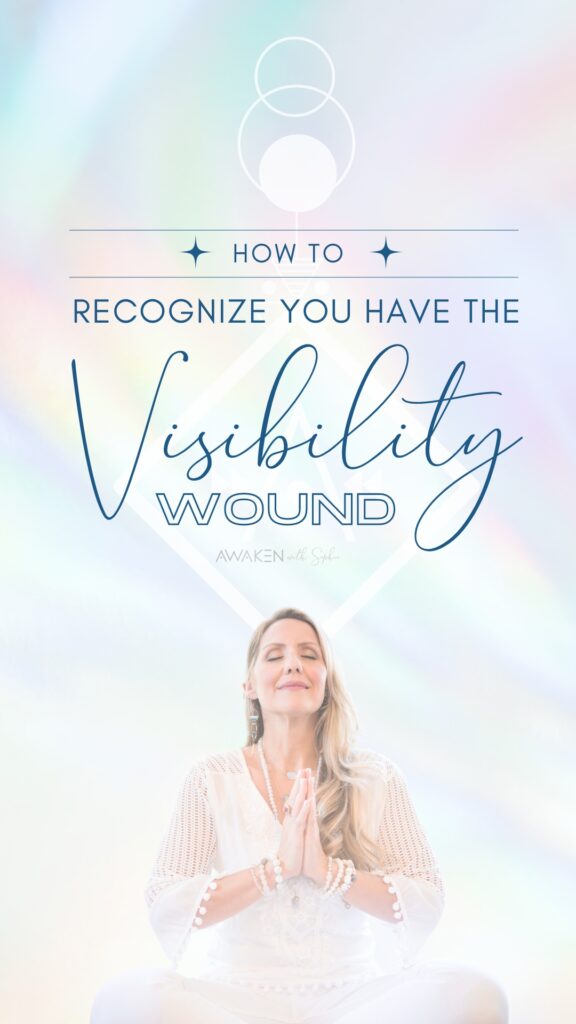 How to Recognize a Visibility Wound by Sophie Frabotta